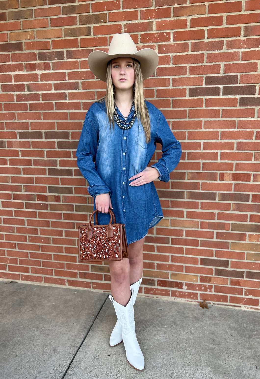 The Hillsboro Denim Button-Down Dress S-L